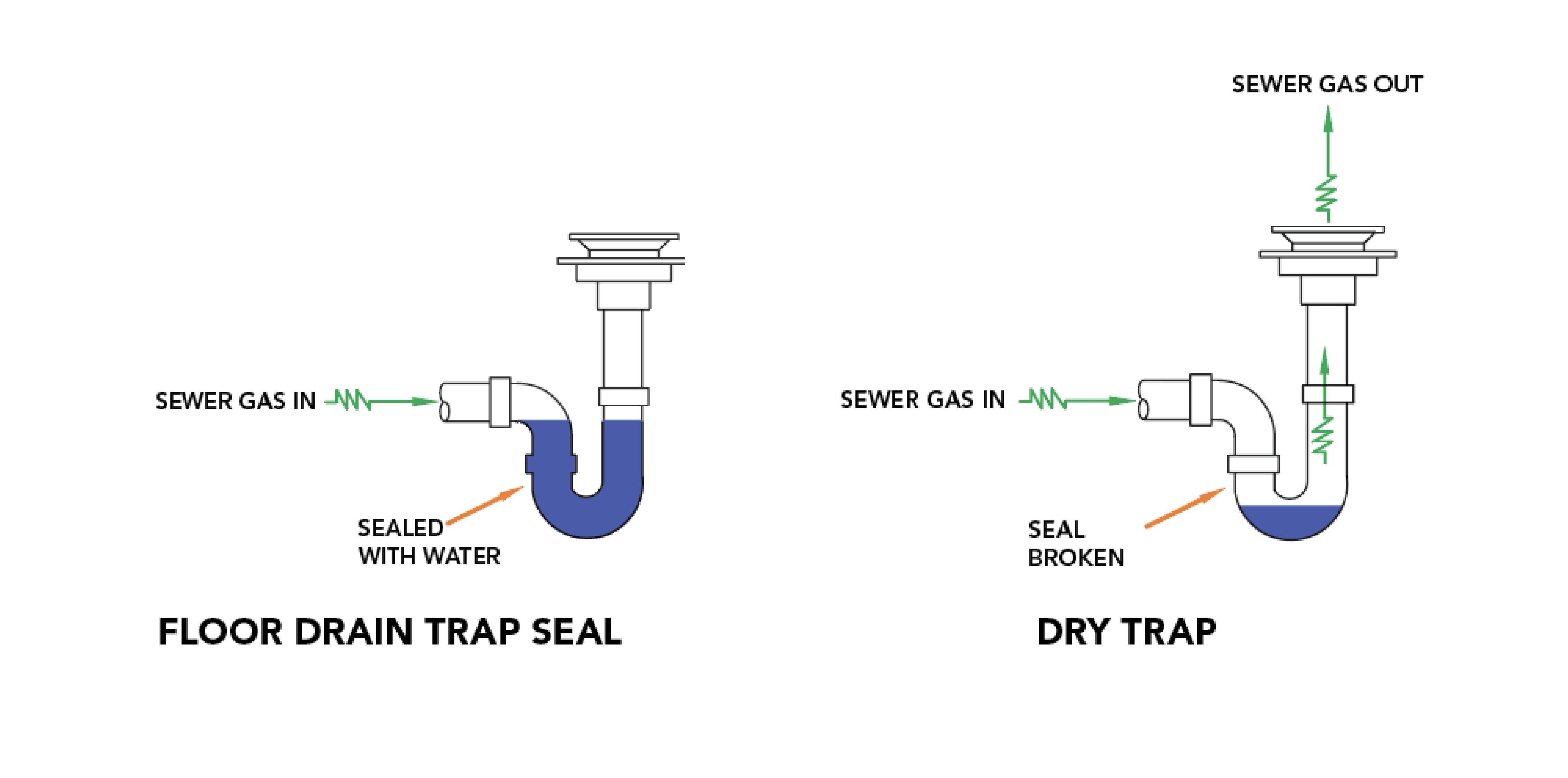 5035 - Optimize Is Sewer Gas Giving Your Customers the Wrong Impression White Paper-3_P_Trap Image